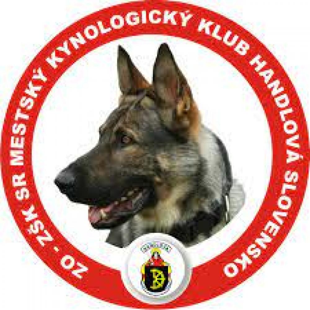 Najlepší priateľ človeka...