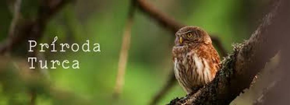 Koncoročný výlet vláčikom do Martina