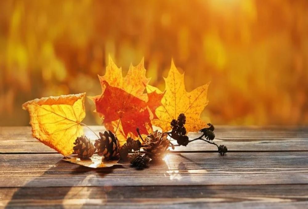 Jeseň života je zlatým obdobím