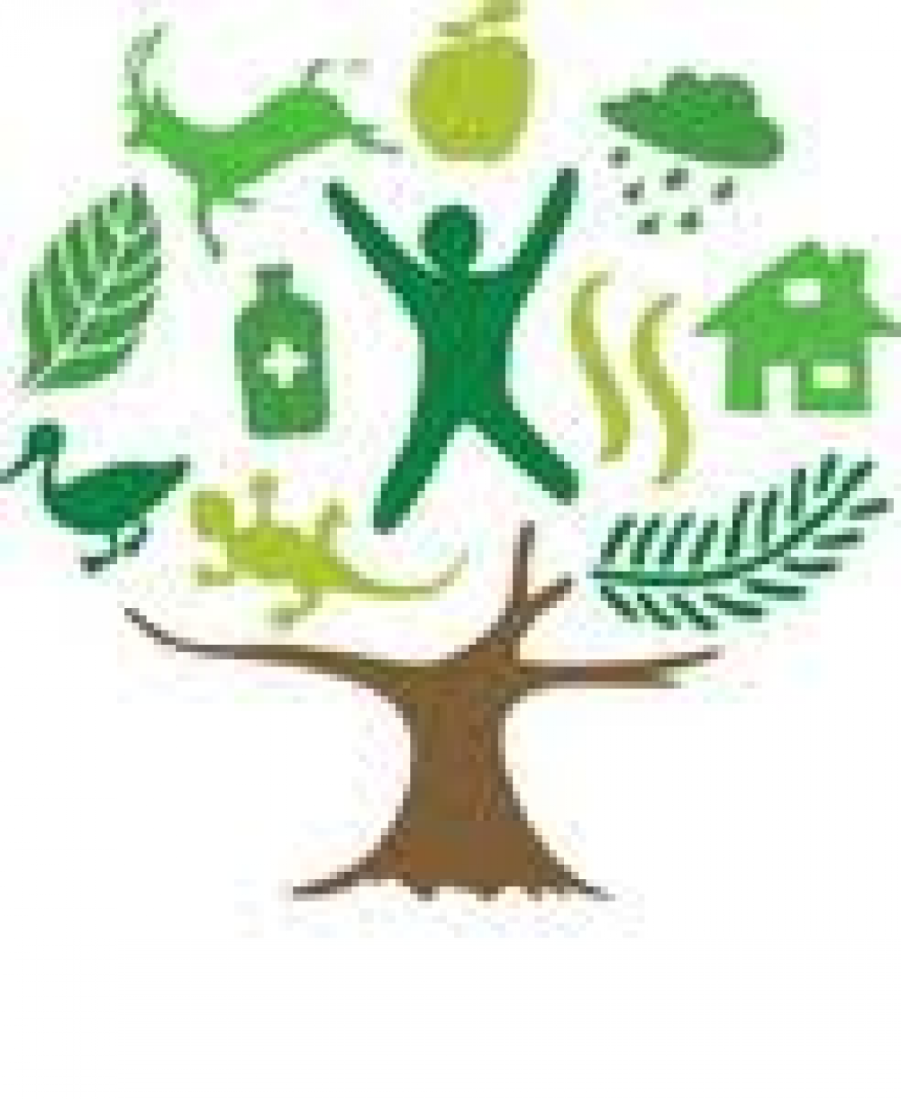 Cvičenie v prírode