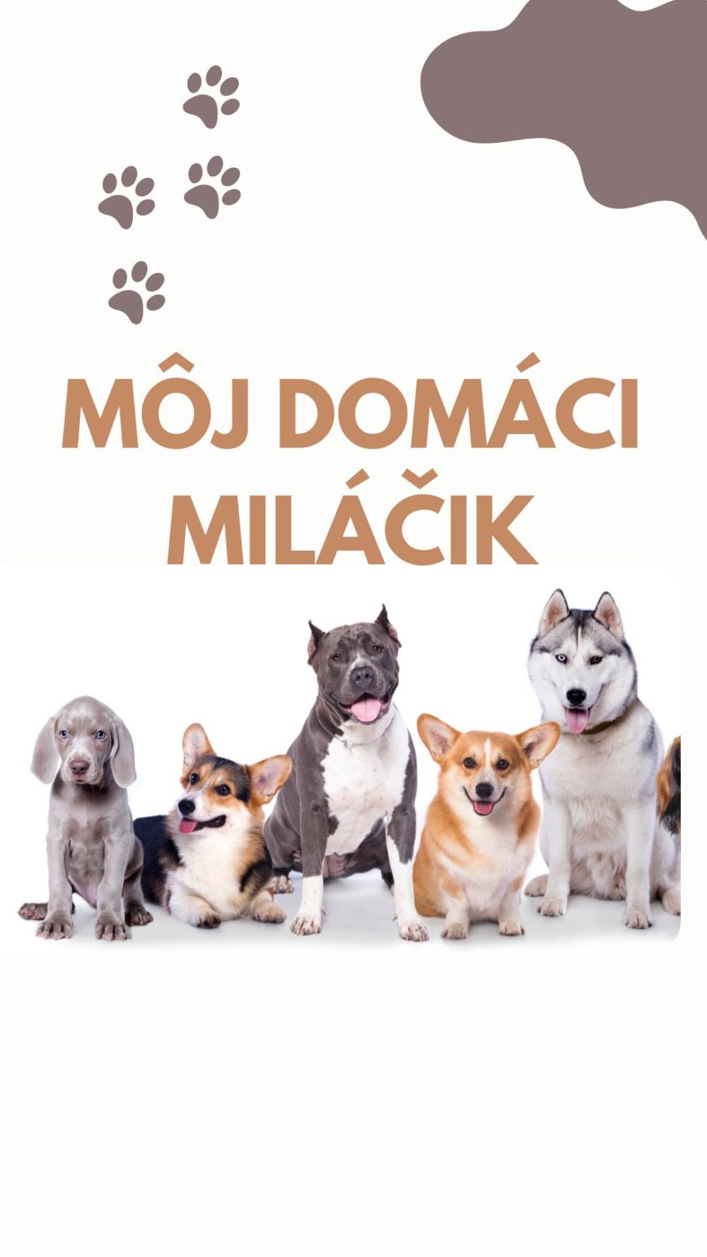 Môj domáci miláčik