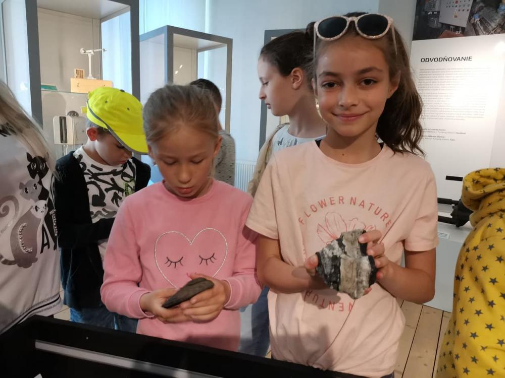 nahlad fotografie dna
